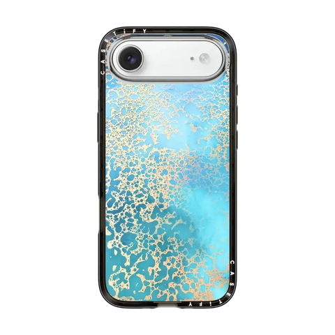 Coral Coast
