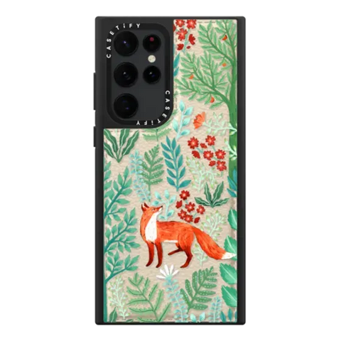 Fox in the Woods
