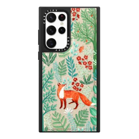 Fox in the Woods