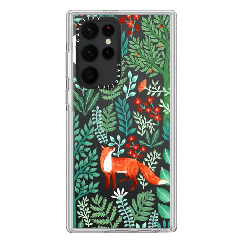 Fox in the Woods