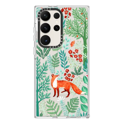 Fox in the Woods