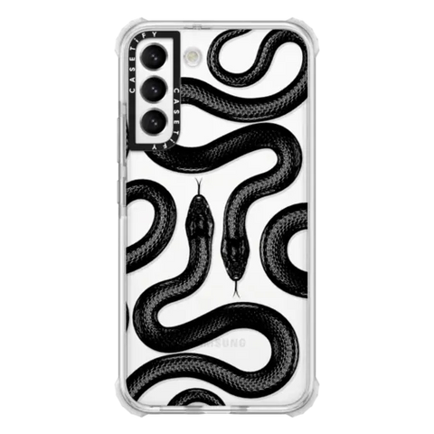 Black Kingsnake