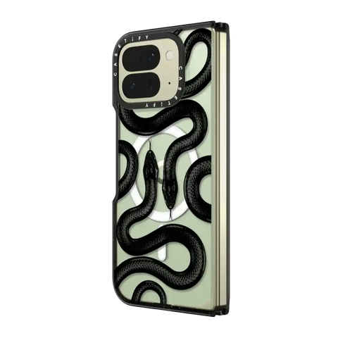Black Kingsnake