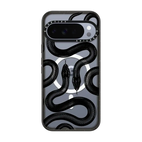 Black Kingsnake