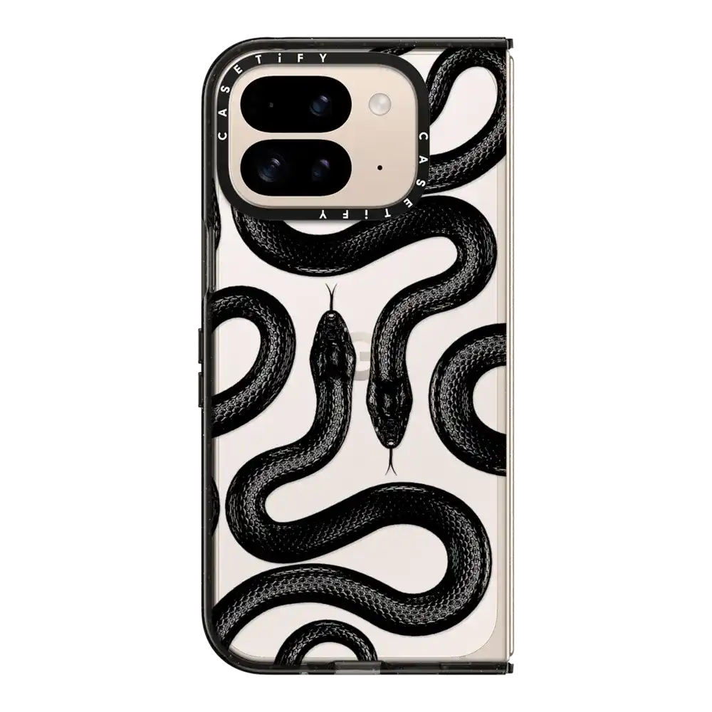 Black Kingsnake