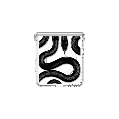 Black Kingsnake