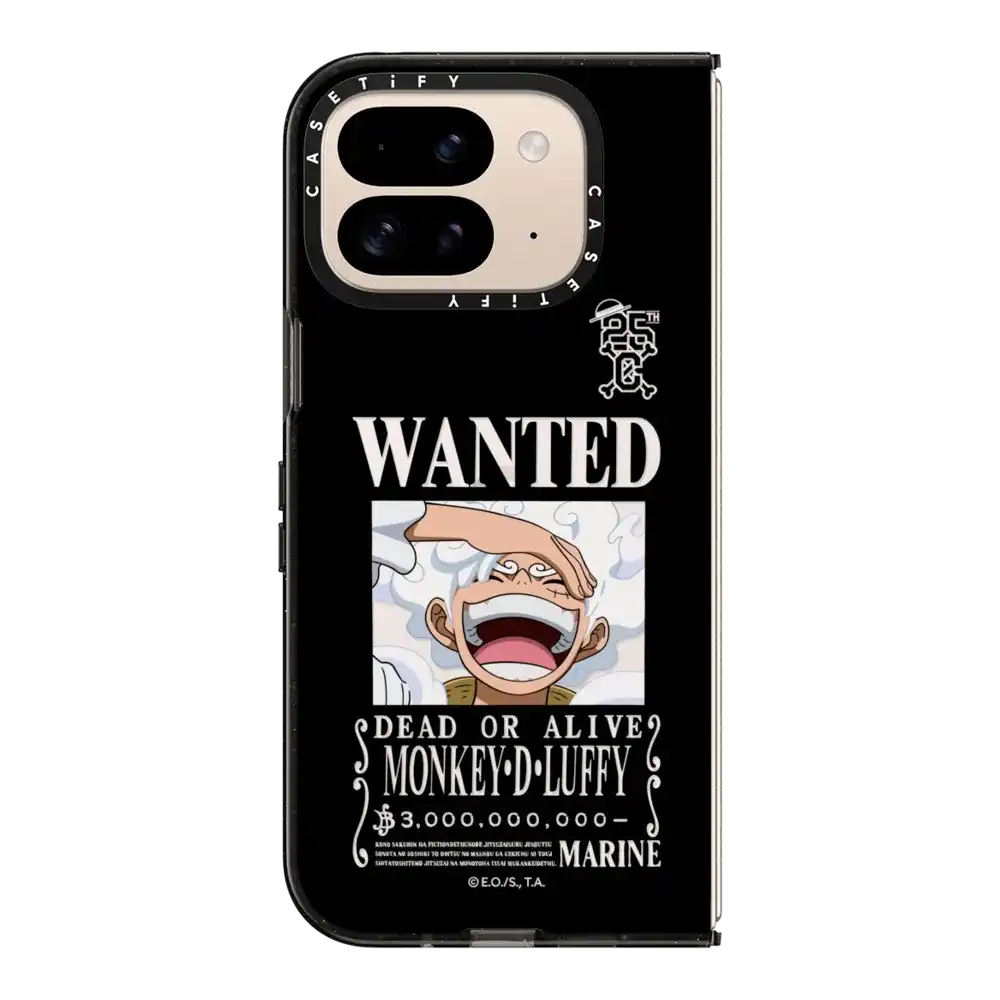 WANTED Luffy Case