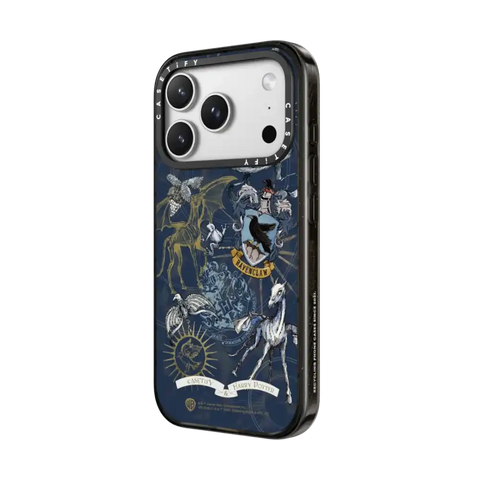 Ravenclaw Case