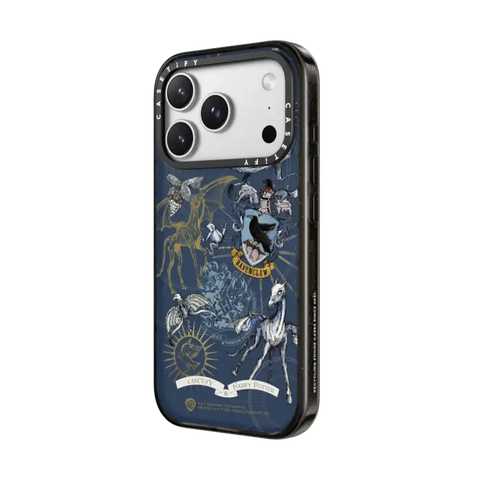 Ravenclaw Case