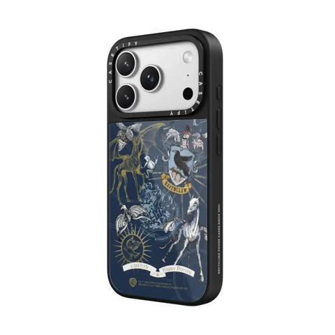 Ravenclaw Case