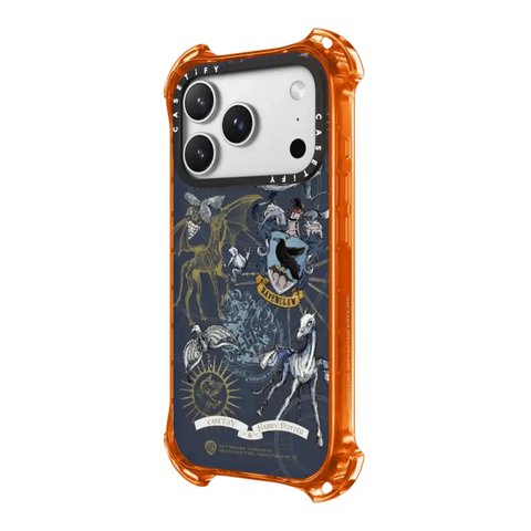 Ravenclaw Case