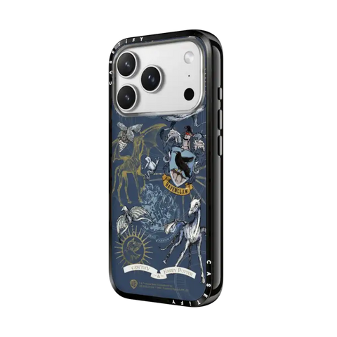 Ravenclaw Case