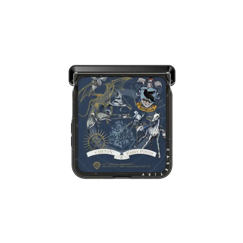 Ravenclaw Case