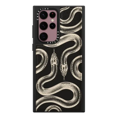 Transparent Kingsnake