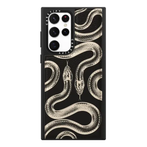 Transparent Kingsnake