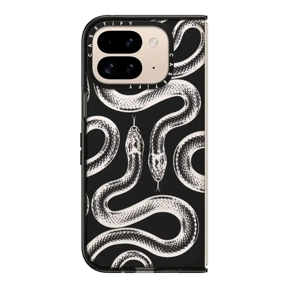 Transparent Kingsnake