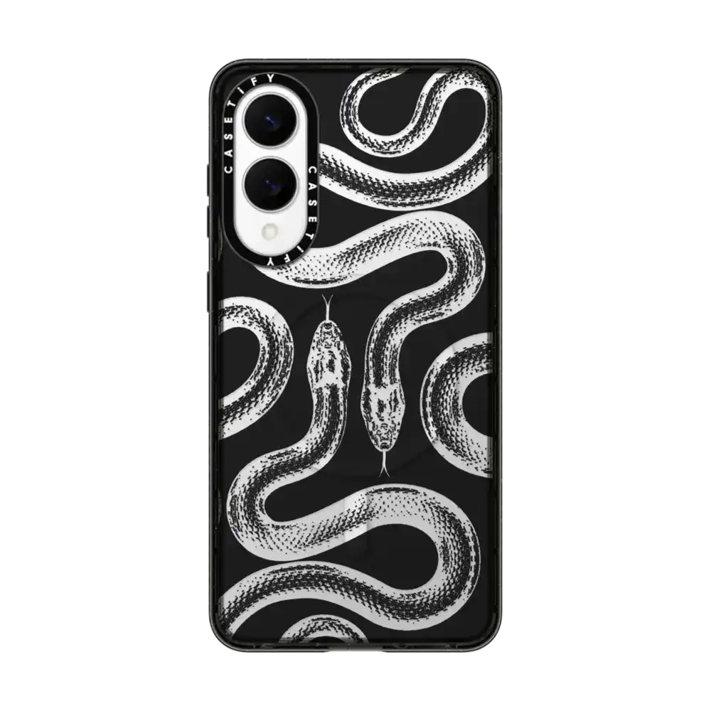 Transparent Kingsnake