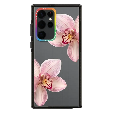 Orchidia