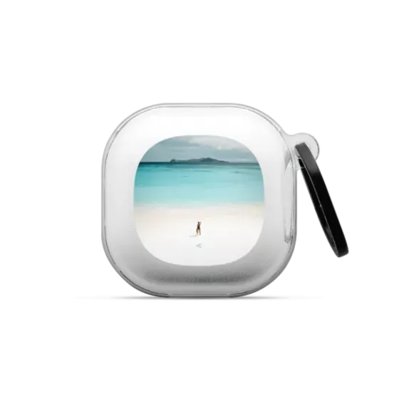 Sea Level
