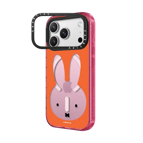 Miffy Bruna Red Mirror Frame Case