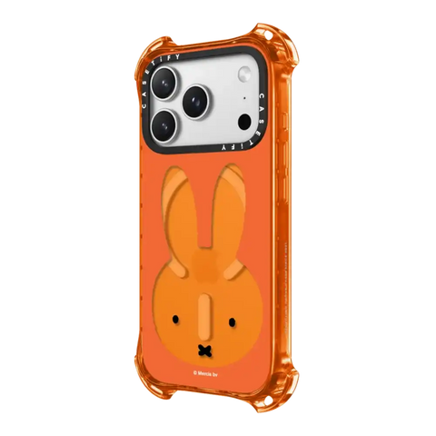 Miffy Bruna Red Mirror Frame Case