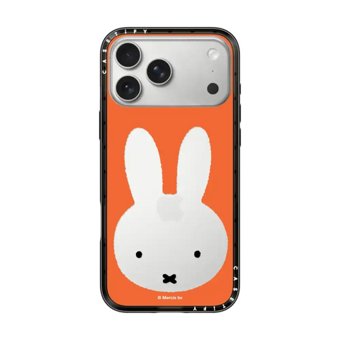 Miffy Bruna Red Mirror Frame Case