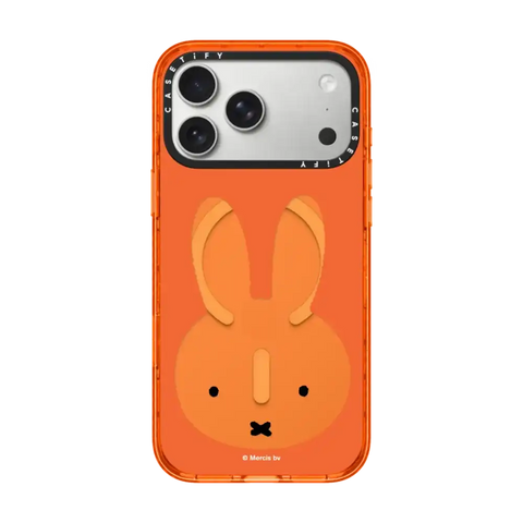 Miffy Bruna Red Mirror Frame Case