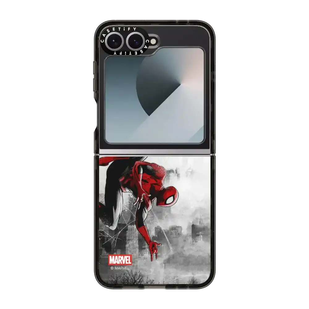 Spider-Man VS Case