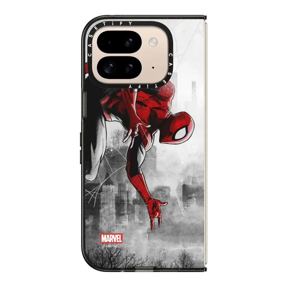 Spider-Man VS Case