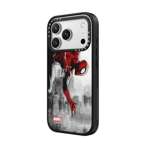 Spider-Man VS Case