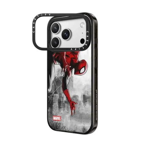 Spider-Man VS Case