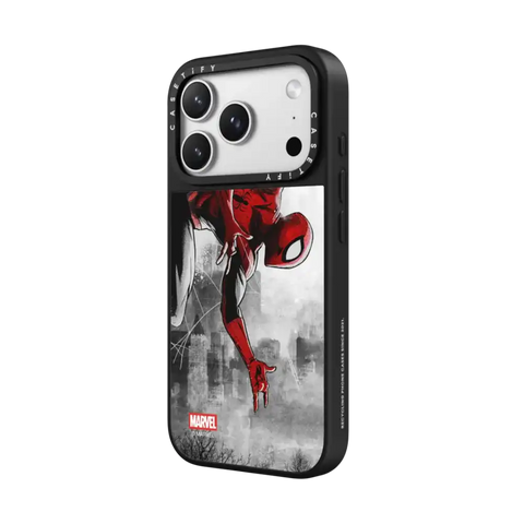Spider-Man VS Case