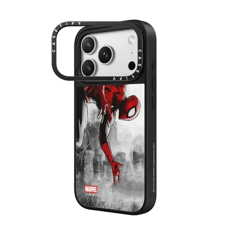 Spider-Man VS Case