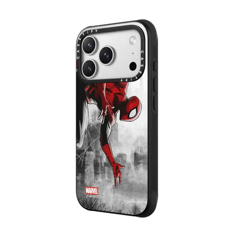 Spider-Man VS Case