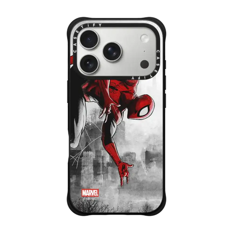 Spider-Man VS Case