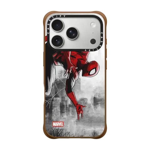 Spider-Man VS Case