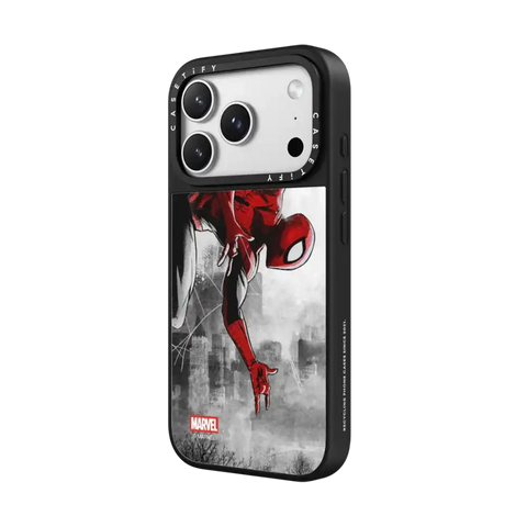 Spider-Man VS Case