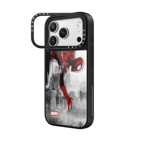 Spider-Man VS Case