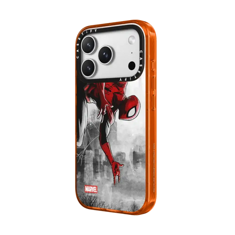 Spider-Man VS Case