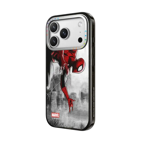 Spider-Man VS Case