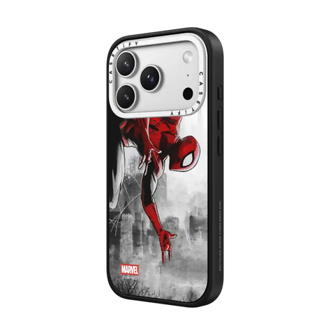 Spider-Man VS Case