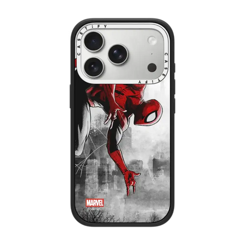 Spider-Man VS Case
