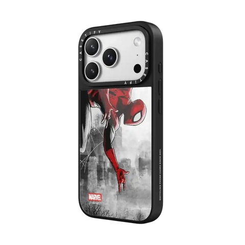 Spider-Man VS Case