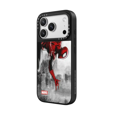 Spider-Man VS Case
