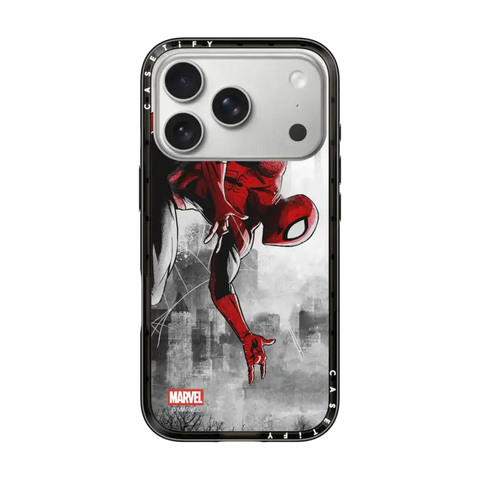 Spider-Man VS Case