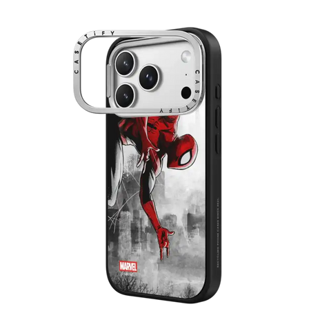 Spider-Man VS Case