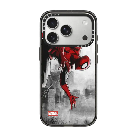 Spider-Man VS Case