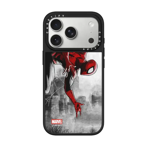 Spider-Man VS Case