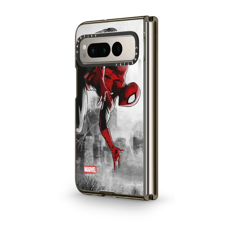 Spider-Man VS Case