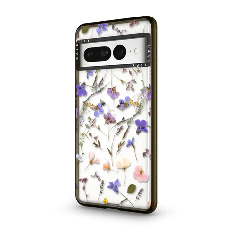 Pressed flowers Violet
